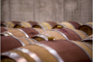 vino
